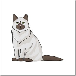 Ragdoll cat Posters and Art